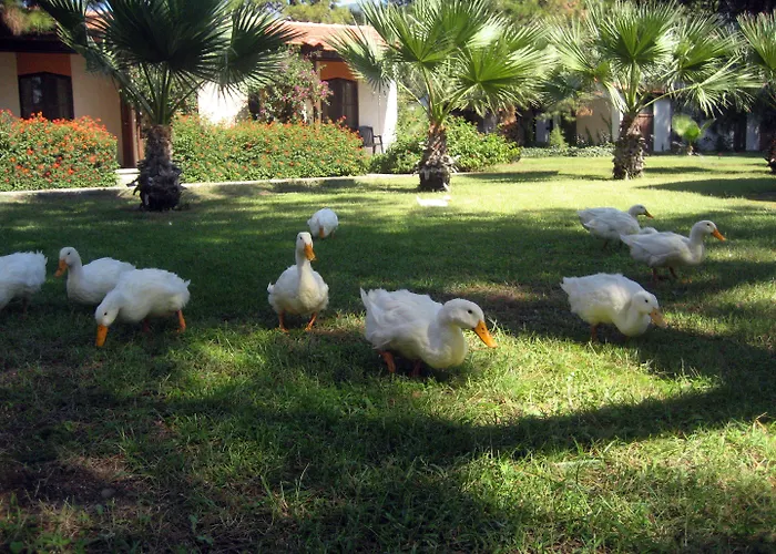 Feriested Denizati Village Gumuldur