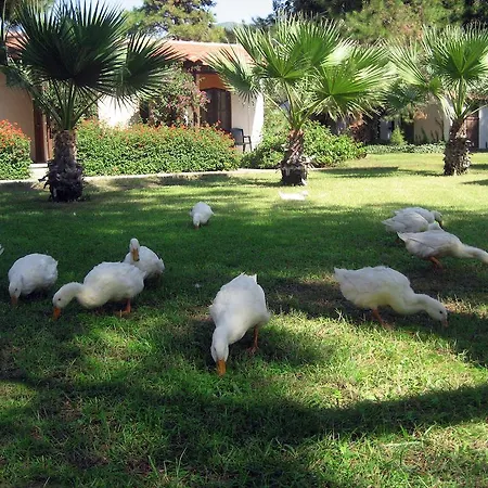 Denizati Village Ośrodek wypoczynkowy 4*