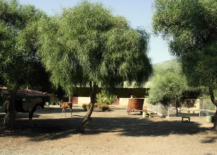Denizati Village 4*