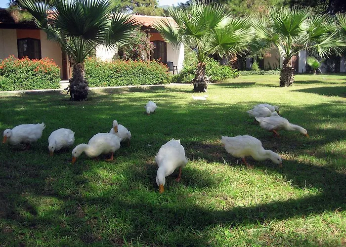 Denizati Village Resort 4*
